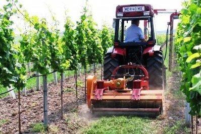 Mulcovac-pri-praci_2_1