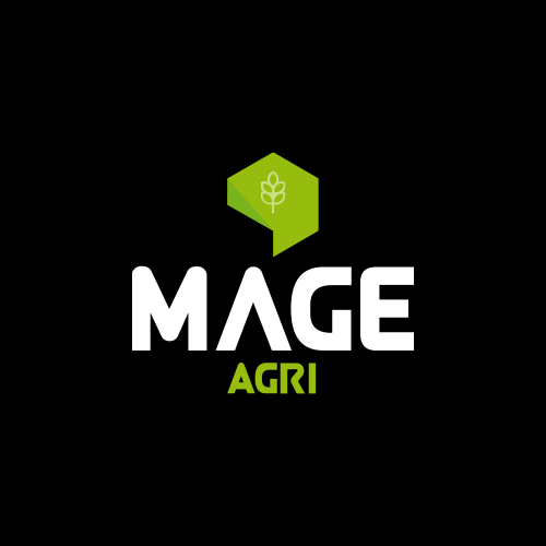 MAGE_1
