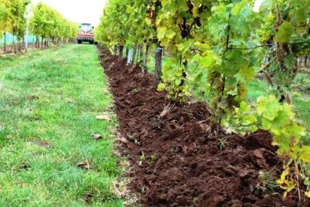 prikmenny_pas---kopie