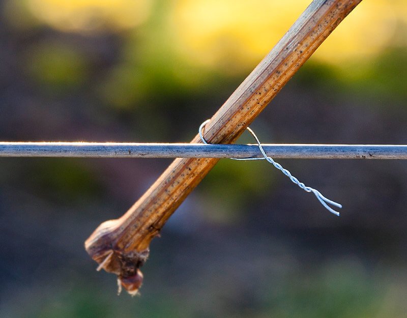 subslider_beli_bindung