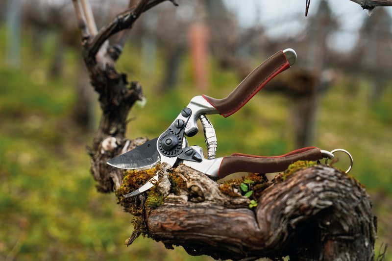       
          FELCO Elite - nová profesionálna jednoručná rada
      