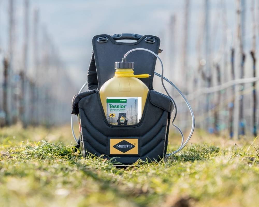 Tessior-teren-foto-mensi