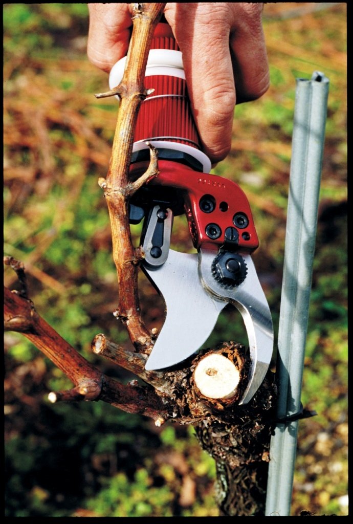 FELCO-70-VITICULTURE-2005-137