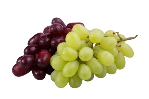 shutterstock_1065197267