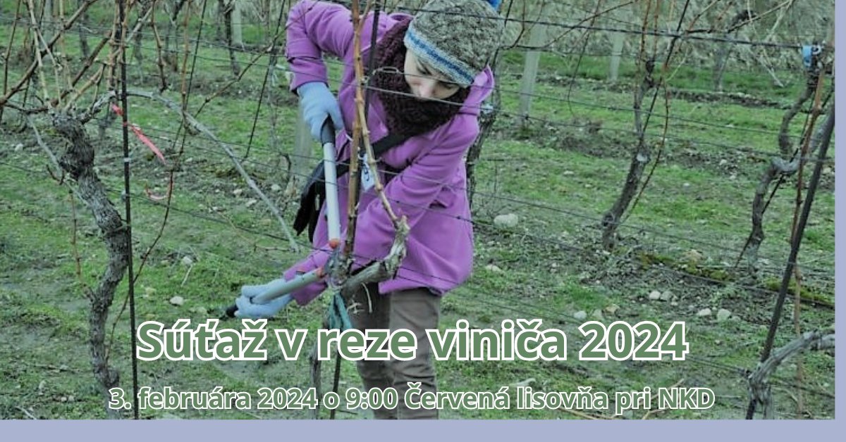 423236225_782082503954861_3252790026140144136_n